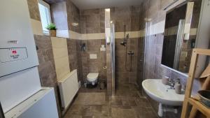 a bathroom with a sink and a shower and a toilet at Apartmán u kolejí A in Kašnice +4 photos