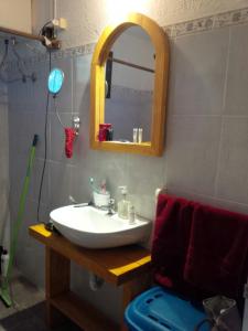 een badkamer met een wastafel en een spiegel bij Las Palmeras in Aguas Dulces