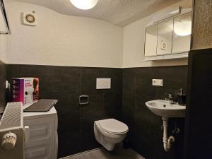 a small bathroom with a toilet and a sink at Apartment in Vaihingen an der Enz - Ensingen in Vaihingen an der Enz