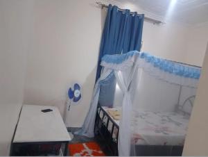 a bedroom with a bed with a blue curtain at Ibus Nawi Homes 2 in Lodwar