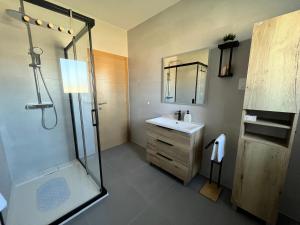 a bathroom with a shower and a sink at Blackberry Guesthouse in Jastrebarsko +18 photos