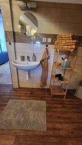 a bathroom with a sink and a mirror and a shelf at Apartmán u kolejí D in Kašnice +6 photos