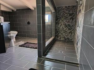 a bathroom with a shower and a toilet at B&B Marino in Grisolia