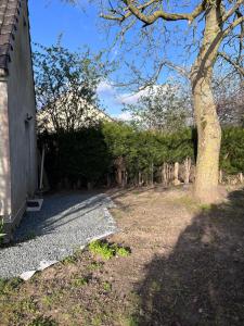 a yard with a tree and a building at Fully equipped, independent apartment in Marles-en-Brie