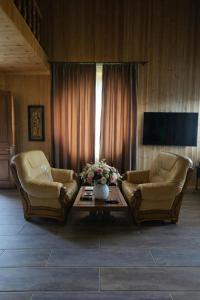 a living room with two chairs and a coffee table at Gudaleti Palace Private Countryside Villa near Tbilisi in Kaspi