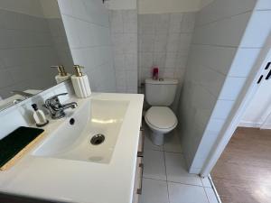 a white bathroom with a toilet and a sink at Résidence du Loir - Le Petit Loft in Vendôme
