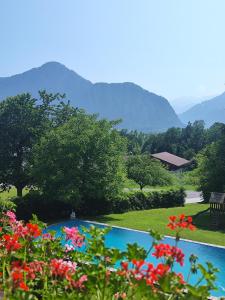a swimming pool with flowers and mountains in the background at Gasthof Grünsbach in Münster