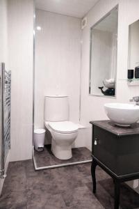 a bathroom with a toilet and a sink at Saphire Apartments Spacious 1 Bed Apartment Sleeps 6 with Free Parking and Garden in Giffnock +9 photos