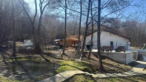 a cabin in the woods next to a pond at Satul de vacanta Cuibul Lupilor in Ciucea