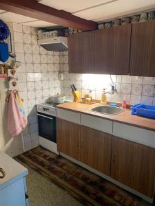 a kitchen with a sink and a stove at Roubenka Na vršku in Staré Křečany