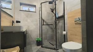 a bathroom with a shower and a toilet and a sink at Domki Mała Tresna in Bierna +14 photos