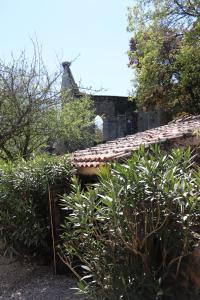 an old house with a tiled roof and some bushes at La Solitude in Bois-de-Cené +12 photos