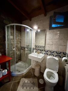 a bathroom with a shower and a toilet and a sink at Agroktima Konstantinos & Eleni in Platy +42 photos