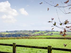 a fence in front of a green field at Welcome Cottage in Woolfardisworthy