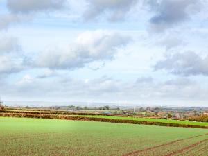 a large green field under a cloudy sky at Welcome Cottage in Woolfardisworthy +18 photos