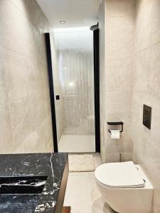 a bathroom with a toilet and a shower at Le petit Berriat - Grenoble centre in Grenoble +3 photos
