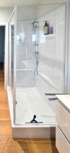 a shower with a glass door in a bathroom at Cottage des Cerisiers in Lens +21 photos