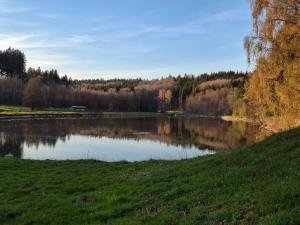 a lake in a grassy field next to a forest at Haus Seeblick in Jettingen-Scheppach