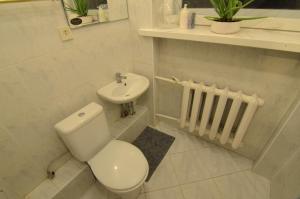 a white bathroom with a toilet and a sink at Vilnius Luxury Apartment 2 in Vilnius +18 photos