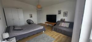 a bedroom with a bed and a couch and a television at Apartmans White perl in Sutomore