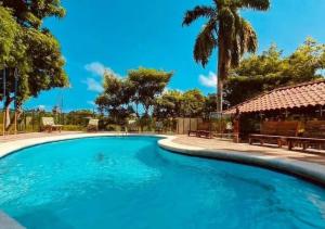 a swimming pool with blue water and a palm tree at Senderos del Mar, Hotel con AC, Piscina, cerca de Tayrona in Buritaca