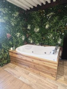 a bath tub in front of a wall with plants at Romantic love room house in Aix