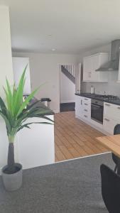 a kitchen with a potted plant in a room at Modern spacious private detached house in Beeston