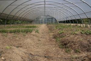 Fotografia z galérie ubytovania Cascina Foresto v destinácii Cossato