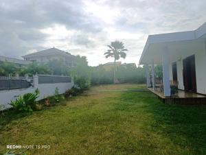 a yard with a house and a palm tree at NM-Housing in Saint-Denis