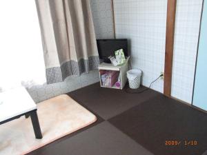 TV a/nebo společenská místnost v ubytování Guesthouse SHELL