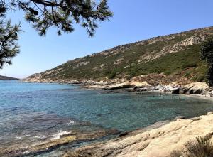 a beach with a bunch of people in the water at La mandarine in Ramatuelle