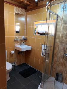 a bathroom with a shower and a sink and a toilet at Casinhas in Praia do Almoxarife +30 photos
