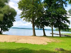 two trees on a beach near a body of water at Pokoje Podzamcze in Stare Drawsko