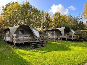 two tents in a field with grass and trees at Camping De Meidoorn in Sluis