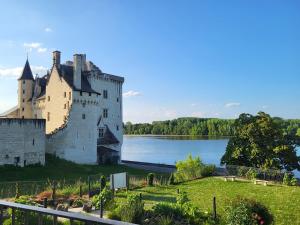 a castle sitting on the side of a lake at Logis Hôtel Le Bussy in Montsoreau