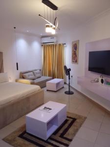 a living room with a couch and a tv at Vintage classic suits in Lagos