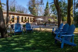 a group of blue chairs sitting in the grass at Guild Siena Senior Resort & Residence in Siena