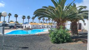 a swimming pool with palm trees in a resort at First Love in Caleta De Fuste