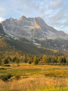 a field with trees and mountains in the background at Casa Orso Elio - Si Mezzana Home in Mezzana