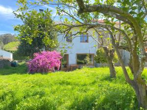 a house in a green field with a tree at Casa Lambre in Paderne