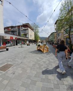 a woman walking down a street in a city at Stan na dan bb in Bajina Bašta
