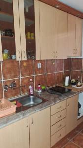 a kitchen with a sink and a tiled wall at Stan na dan bb in Bajina Bašta