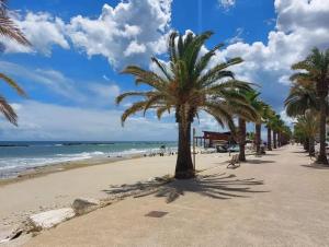 a sandy beach with palm trees and the ocean at Casa Dellestate in Grottammare