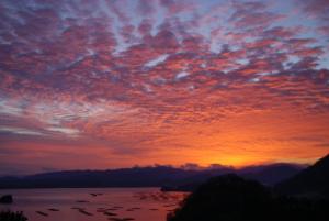 a sunset over a body of water with birds in the sky at Resorpia Kumihama in Kyotango