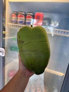 a person holding a green apple in front of an open refrigerator at GrandMaré Hotel in Peruíbe
