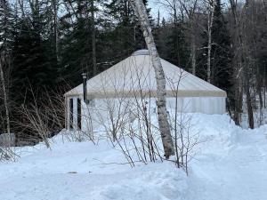 a white building in the snow next to a tree at Havre du Lac Montagnais in Saint-Fulgence