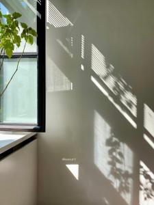 a shadow of a window and a plant on a wall at Heaven AT 11, your Deluxe Studio with personal bathroom, kitchenette & terrace in Ghent