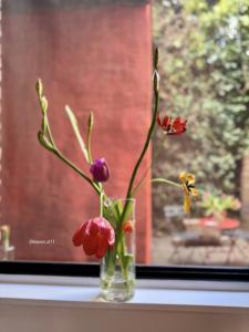 a vase filled with flowers sitting on a window sill at Heaven AT 11, your Deluxe Studio with personal bathroom, kitchenette & terrace in Ghent