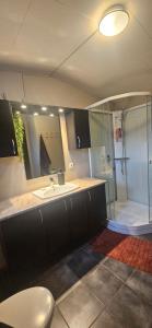 a bathroom with a sink and a shower at Fellskotshestar Guesthouse in Selfoss