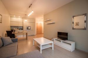 里加的住宿－Riga Riverside Apartment，带沙发和电视的客厅